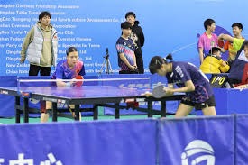 篮球NBA球员合约细节曝光，引发讨论